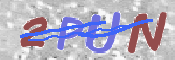 CAPTCHA (Şahıs Denetim Kodu) Resmi