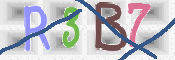 CAPTCHA (Şahıs Denetim Kodu) Resmi