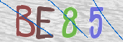CAPTCHA (Şahıs Denetim Kodu) Resmi