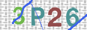 CAPTCHA (Şahıs Denetim Kodu) Resmi