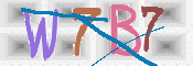 CAPTCHA (Şahıs Denetim Kodu) Resmi