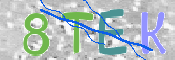 CAPTCHA (Şahıs Denetim Kodu) Resmi