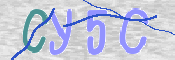 CAPTCHA (Şahıs Denetim Kodu) Resmi
