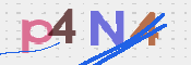 CAPTCHA (Şahıs Denetim Kodu) Resmi