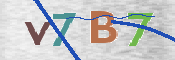 CAPTCHA (Şahıs Denetim Kodu) Resmi