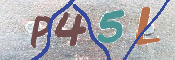 CAPTCHA (Şahıs Denetim Kodu) Resmi