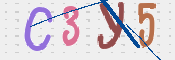 CAPTCHA (Şahıs Denetim Kodu) Resmi