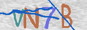 CAPTCHA (Şahıs Denetim Kodu) Resmi