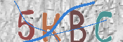 CAPTCHA (Şahıs Denetim Kodu) Resmi