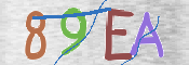 CAPTCHA (Şahıs Denetim Kodu) Resmi