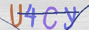 CAPTCHA (Şahıs Denetim Kodu) Resmi