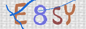 CAPTCHA (Şahıs Denetim Kodu) Resmi