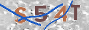 CAPTCHA (Şahıs Denetim Kodu) Resmi