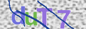 CAPTCHA (Şahıs Denetim Kodu) Resmi