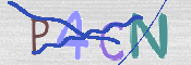 CAPTCHA (Şahıs Denetim Kodu) Resmi