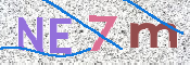 CAPTCHA (Şahıs Denetim Kodu) Resmi