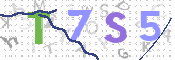 CAPTCHA (Şahıs Denetim Kodu) Resmi