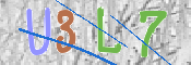 CAPTCHA (Şahıs Denetim Kodu) Resmi