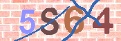 CAPTCHA (Şahıs Denetim Kodu) Resmi