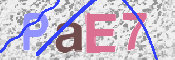 CAPTCHA (Şahıs Denetim Kodu) Resmi
