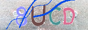 CAPTCHA (Şahıs Denetim Kodu) Resmi