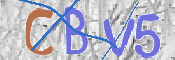 CAPTCHA (Şahıs Denetim Kodu) Resmi