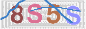 CAPTCHA (Şahıs Denetim Kodu) Resmi
