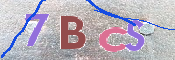 CAPTCHA (Şahıs Denetim Kodu) Resmi