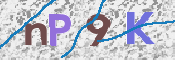 CAPTCHA (Şahıs Denetim Kodu) Resmi