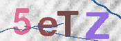 CAPTCHA (Şahıs Denetim Kodu) Resmi