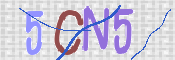 CAPTCHA (Şahıs Denetim Kodu) Resmi