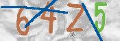 CAPTCHA (Şahıs Denetim Kodu) Resmi