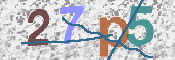 CAPTCHA (Şahıs Denetim Kodu) Resmi