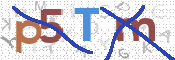 CAPTCHA (Şahıs Denetim Kodu) Resmi