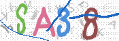 CAPTCHA (Şahıs Denetim Kodu) Resmi